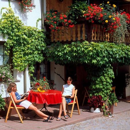 Landpension Risch Ilmenau Exterior photo